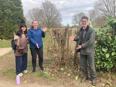 Three interns who have been working on elm, standing next to an elm tree cultivar.